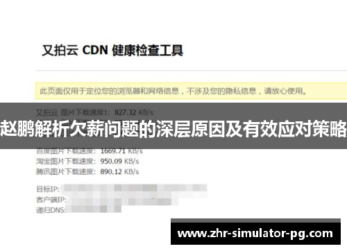 赵鹏解析欠薪问题的深层原因及有效应对策略